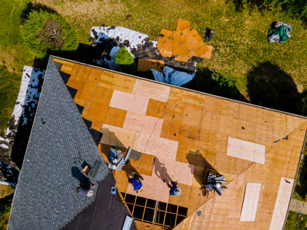 Best Residential Roofing Contractor  in Taylorvle, IL