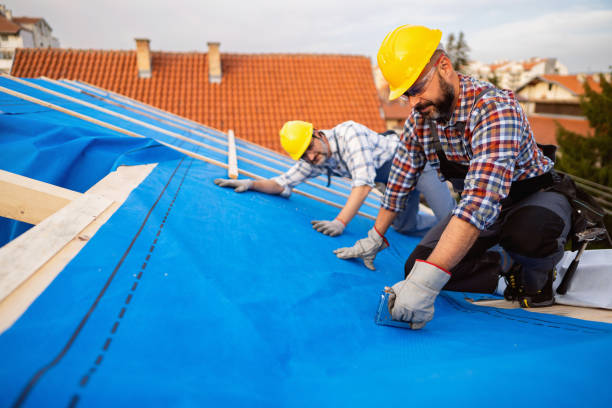 Gutter Installation and Roofing in Taylorville, IL