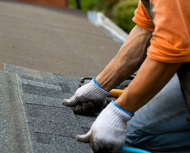 Best Best Roofing Contractors  in Taylorvle, IL
