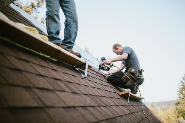 Best Storm Damage Roof Repair  in Taylorvle, IL