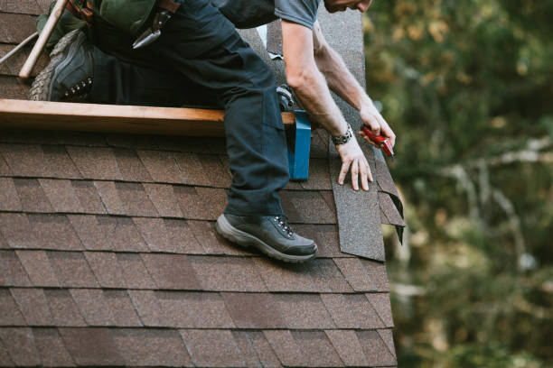 Best Residential Roofing Contractor  in Taylorvle, IL